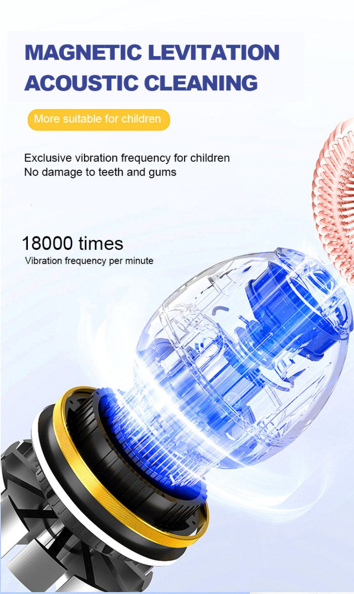 LULA Wholesale Kids Electric Toothbrush Ultrasonic Cartoon Bear U Shaped Toothbrush with 4 Brush Heads - Image 5