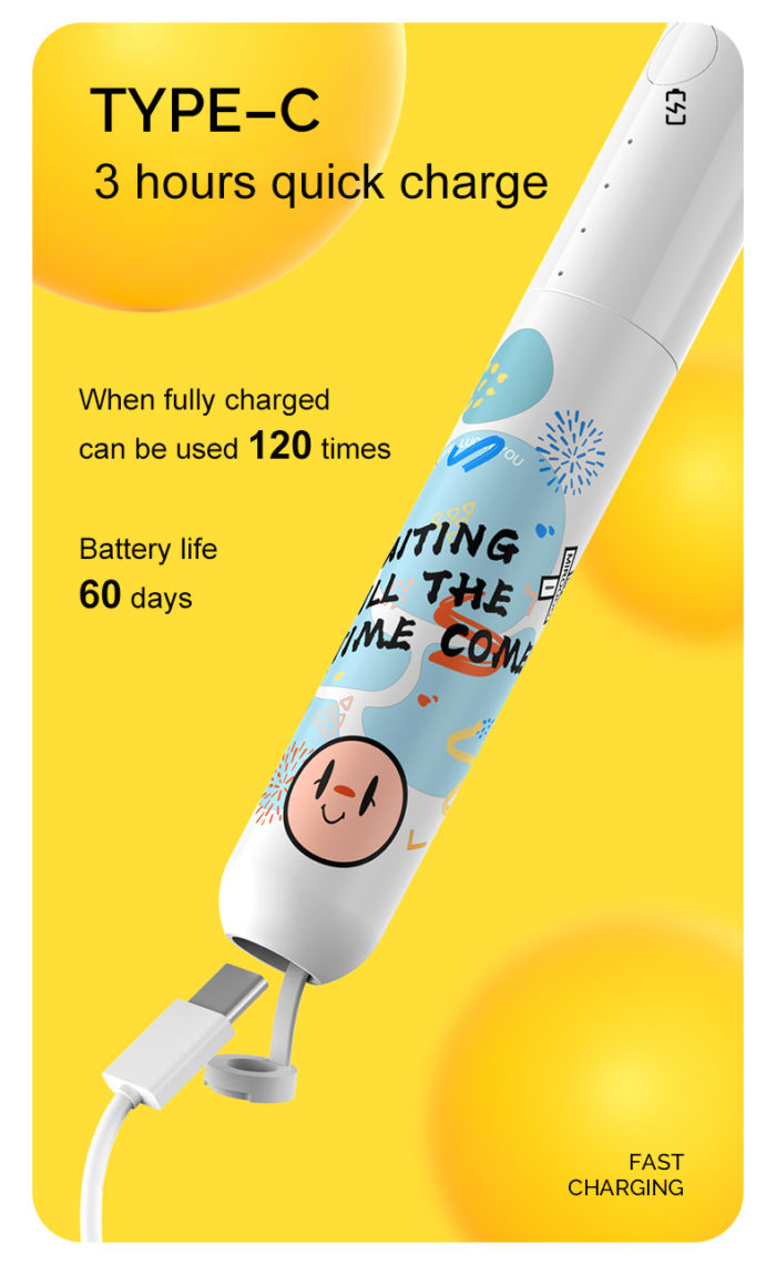 LULA Wholesale Portable Sonic Toothbrush Smart USB Rechargeable Electric Toothbrush for Adult - Image 2